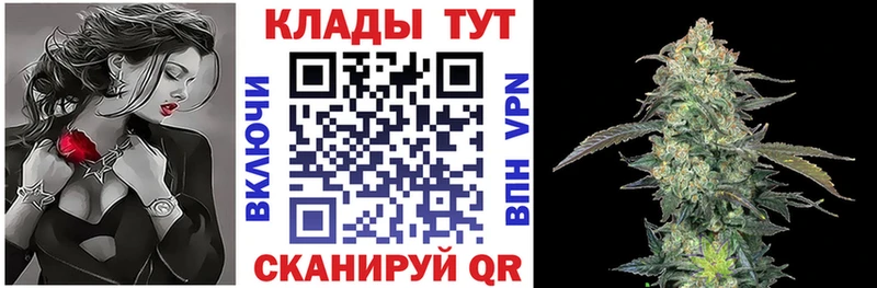 Купить наркотик аптеки Пошехонье Псилоцибиновые грибы  Меф  АМФ  НБОМе  Бошки Шишки  ГАШИШ 