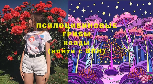 стафф Вязники