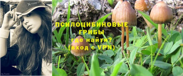 меф Пролетарск