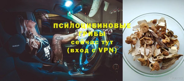 спиды Приозерск