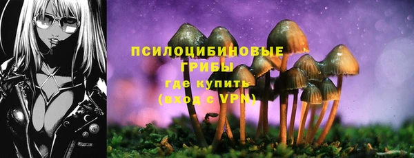 меф Пролетарск