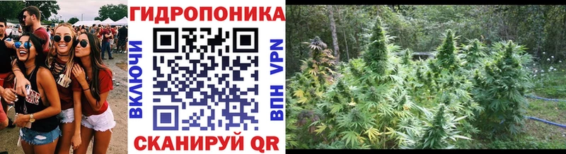 хочу   Пошехонье  МАРИХУАНА MAZAR 